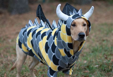 large dog dragon costume